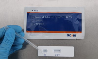 Leishmania Ac test rápido