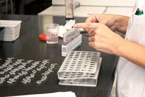 Test rápidos