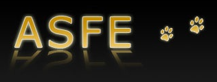 Logo ASFE