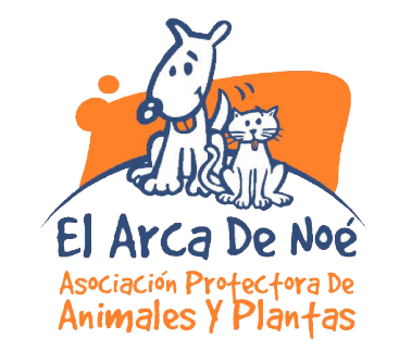 Log El Arca de Noe