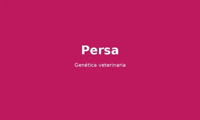 Pack genético persian-cat_800 - test genético veterinario